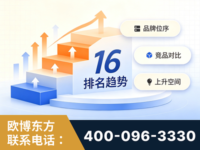 恩施-竞品品牌排名