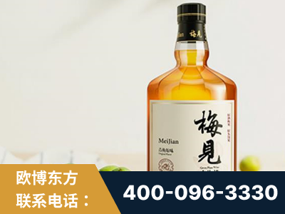 恩施-梅见青梅酒